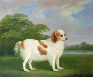 Spaniel in a Landscape